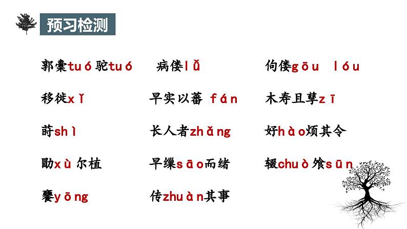 《种树郭橐驼传》课件5第6页