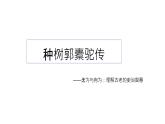 《种树郭橐驼传》课件4