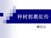 《种树郭橐驼传》课件2