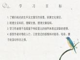 《项脊轩志》课件9