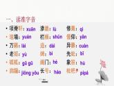 《项脊轩志》课件8