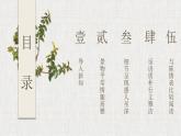 《项脊轩志》课件4