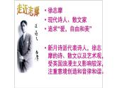 《再别康桥》课件14
