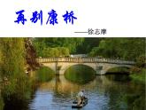 《再别康桥》课件6