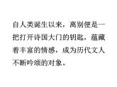 《再别康桥》课件5