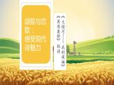 《大堰河——我的保姆》《再别康桥》课件3