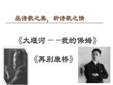 《大堰河——我的保姆》《再别康桥》课件1