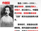 《阿Q正传（节选）》课件18