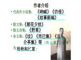 《阿Q正传（节选）》课件19