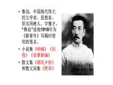 《阿Q正传（节选）》课件20