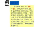 《阿Q正传（节选）》课件13