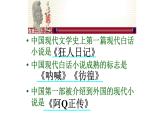 《阿Q正传（节选）》课件7