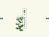 《阿Q正传（节选）》课件3