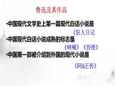 《阿Q正传（节选）》课件1