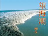 《望海潮》课件15