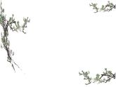 《蜀相》课件18
