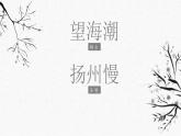《望海潮》《扬州慢》课件3