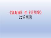 《望海潮》《扬州慢》比较阅读课件4