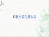 2025届高考语文复习：诗化小说专题阅读 课件