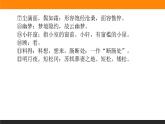 高中语文选择性必修上课件江城子·乙卯正月二十日夜记梦
