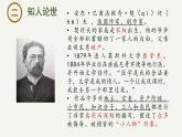 13.2《装在套子里的人》课件-2023-2024学年高一下学期语文大单元教学同步备课课件（统编版必修下册）