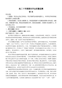 2024濮阳南乐县豫北名校高二下学期6月期末考试语文含答案