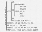 2025届高三一轮复习语文课件（人教版新高考新教材）第2部分 古代诗文阅读 专题9 古代诗歌阅读第4节　鉴赏古代诗歌的表达技巧
