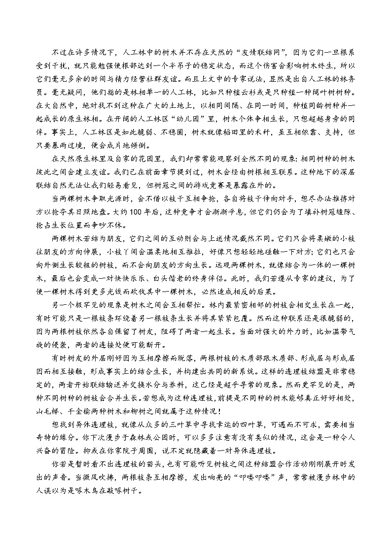 宁夏银川一中2024届高三下学期第四次模拟考试语文试题（Word版附解析）第3页