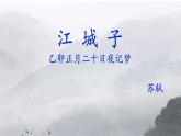 统编版高中语文选择性必修上册古诗词诵读《江城子》课件