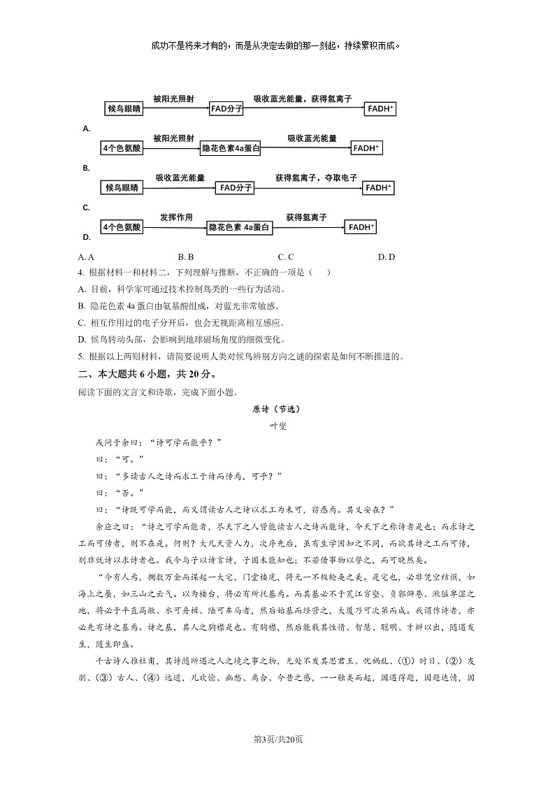 [语文]2022北京海淀高二下学期期末试卷及答案03