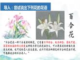 部編版2024高中語文必修上冊第一單元第三課《百合花》課件