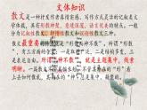 部編版2024高中語文必修上冊第七單元第一課《荷塘月色》課件