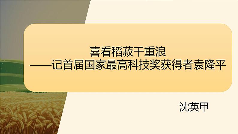 《喜看稻菽千重浪》课件++2023—2024学年统编版高中语文必修上册第2页