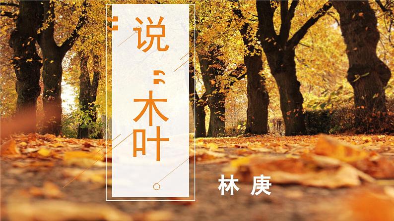 9.《说“木叶”》课件+2023-2024学年统编版高中语文必修下册第1页