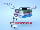 2025届高考语文复习 诗歌鉴赏选择题讲解+练习 课件