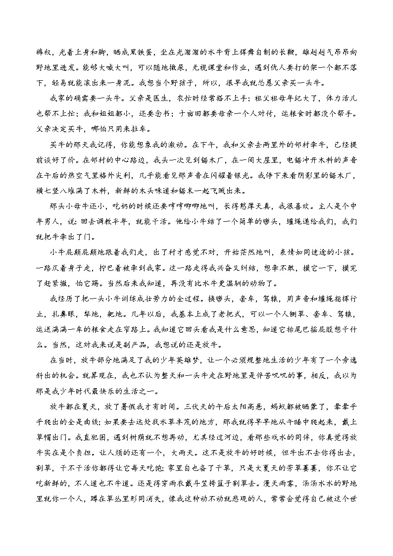 第13讲 现代文阅读之文学类文本阅读（原卷版+解析版）-【暑假自学课】2024年新高一语文暑假提升精品讲义（统编版必修上册）03