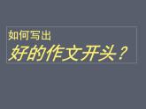 2025届高考语文复习：如何写好作文开头 课件