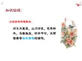 2025届高考语文一轮复习：小说自然环境描写作用 课件