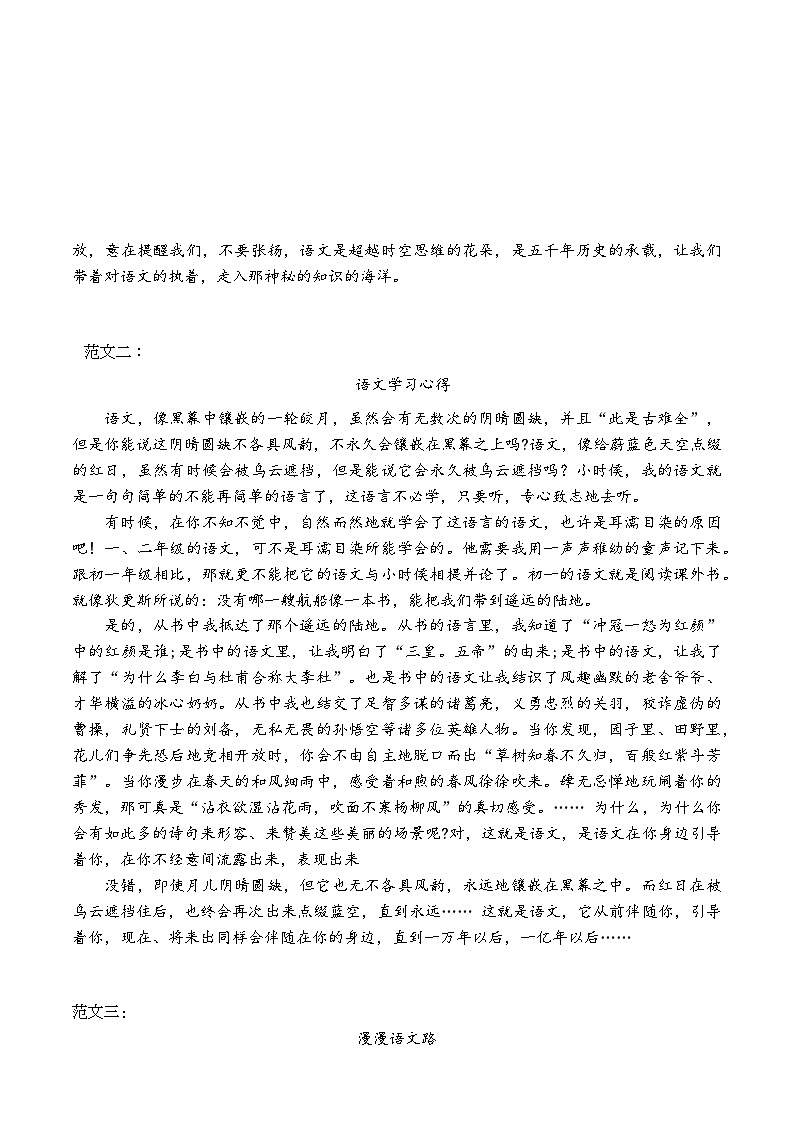 精品范文——语文学习（高三）学案03