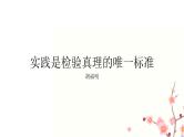 3《实践是检验真理的唯一标准》课件 统编版高中语文选择性必修中册