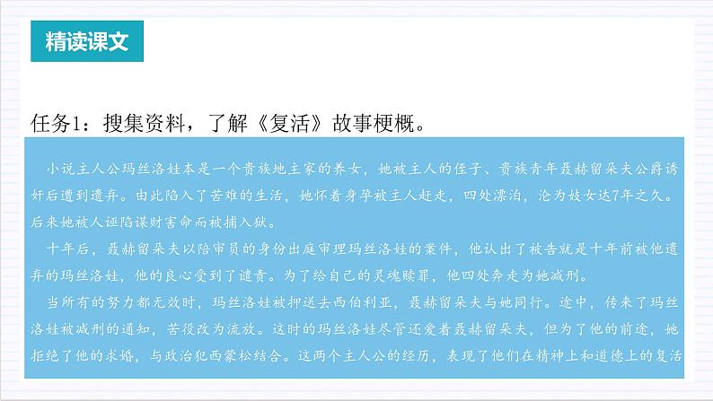 人教统编版高中语文选择性必修上册9《复活（节选）》课件+教案+导学案+分层作业06