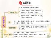9.2《项脊轩志》课件 2023-2024学年统编版高中语文选择性必修下册