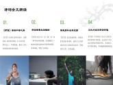2024学年 高中语文 人教统编版  必修 上册 第2单元 6.1 《芣苢》诗词解析与赏析 课件