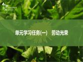 课件：部编版高中语文必修上第2单元学习任务(一)　劳动光荣