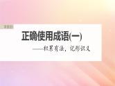 宁陕蒙青川2024届高考语文一轮复习板块八语言文字运用语言基础55正确使用成语一__积累有法记形识义课件