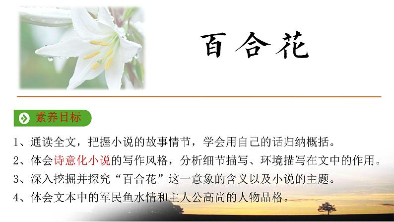 《百合花》（结合高考小说阅读） 高一语文同步公开课精品讲堂（统编版必修上册）课件PPT第2页