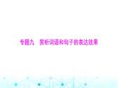 高考语文一轮复习专题九赏析词语和句子的表达效果课件