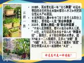 第2單元群文聯(lián)讀課件  統(tǒng)編版高中語(yǔ)文必修上冊(cè)