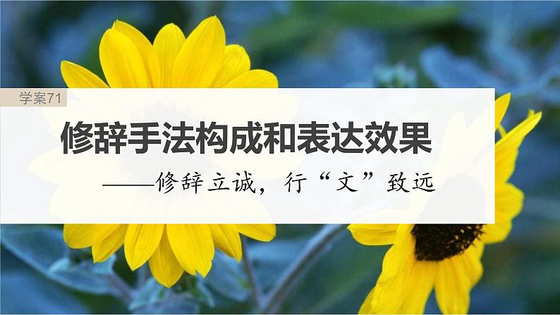 新高考语文一轮复习课件板块8 第2部分 语言表达 课时71　修辞手法构成和表达效果——修辞立诚，行“文”致远第2页