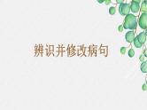 新高考语文二轮复习课件之识别并修改病句